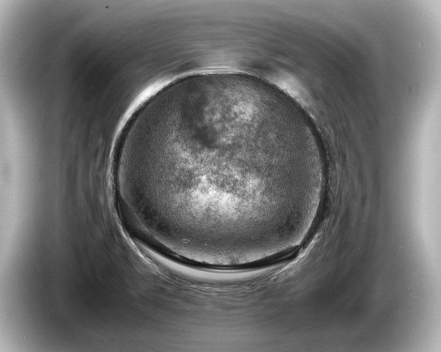 X0000085751469200703161043