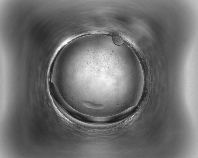 X0000085751471200703161043