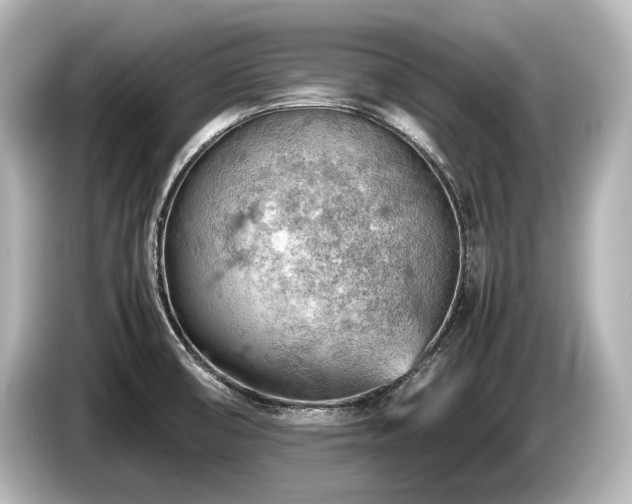 X0000085751474200703161043