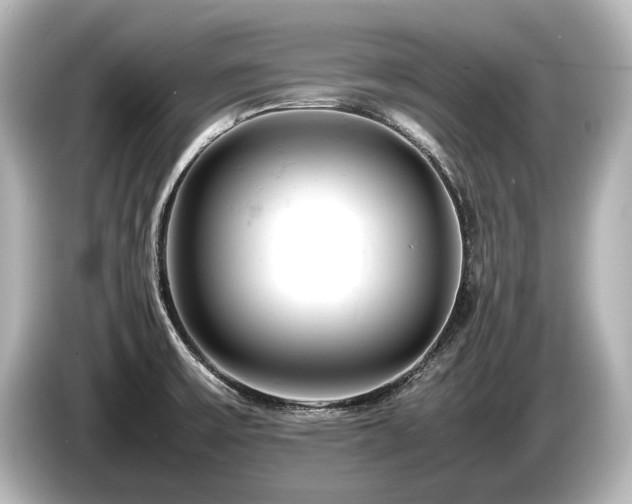 X0000085751475200703161043