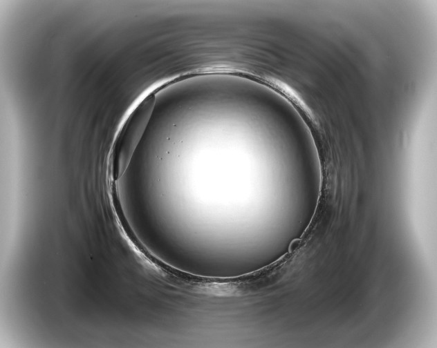 X0000085751476200703161043