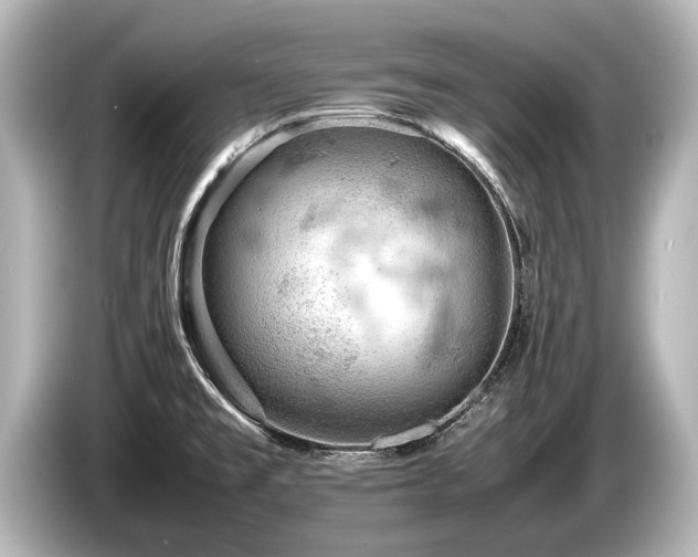 X0000085751477200703161043