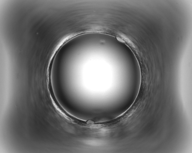 X0000085751479200703161043
