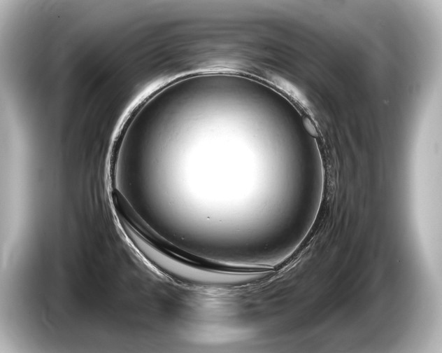 X0000085751480200703161043