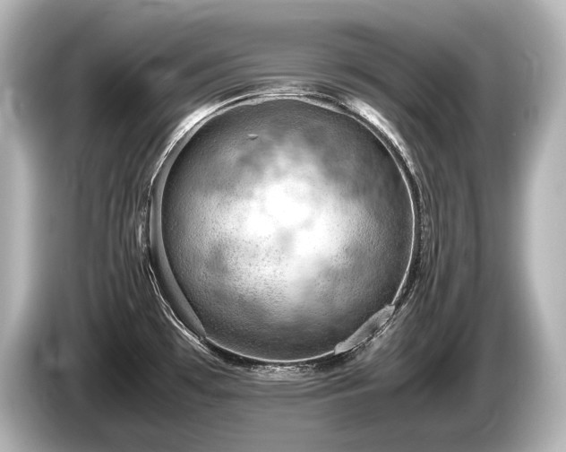 X0000085751481200703161043