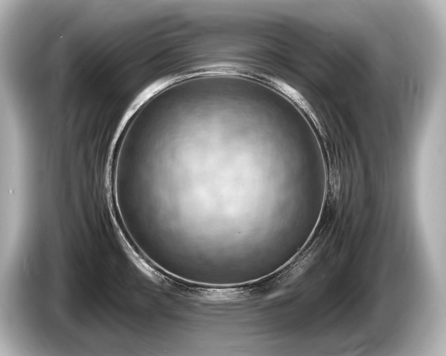 X0000085751482200703161043