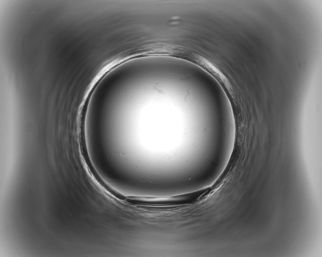 X0000085751483200703161043