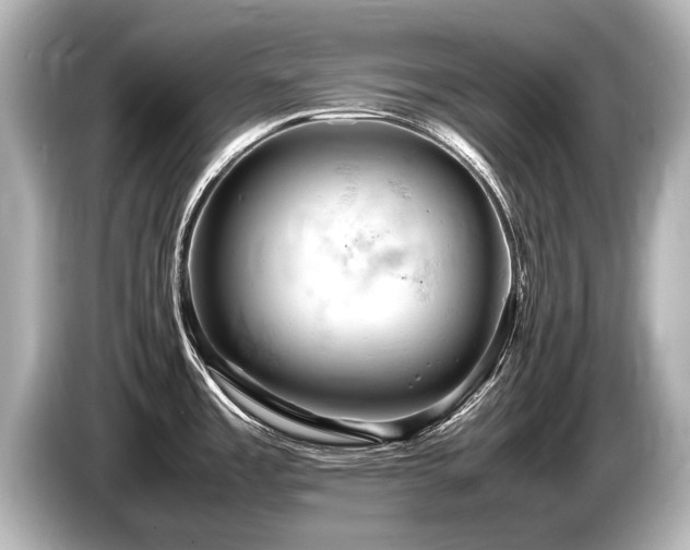 X0000085751485200703161043