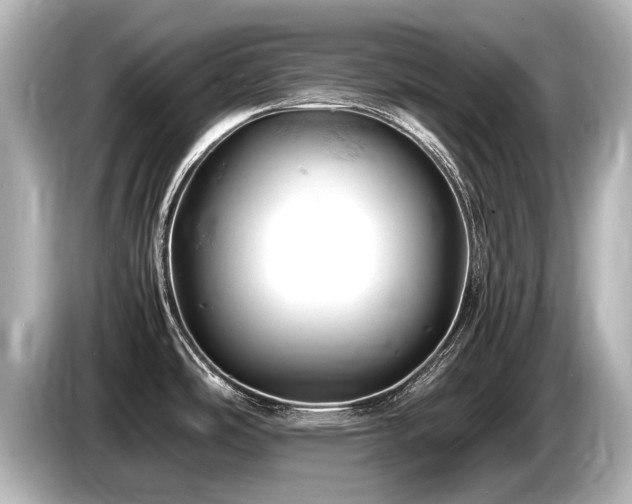 X0000085751486200703161043