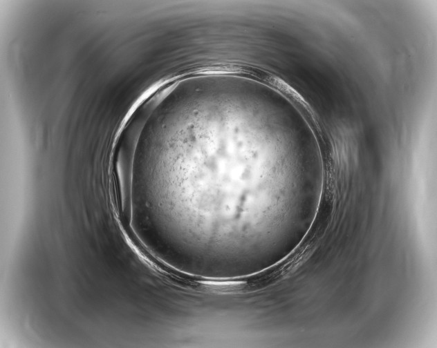 X0000085751487200703161043