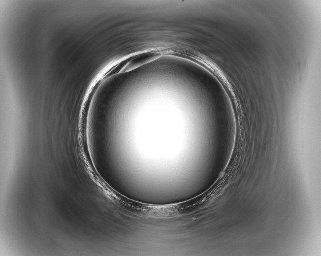 X0000085751488200703161043
