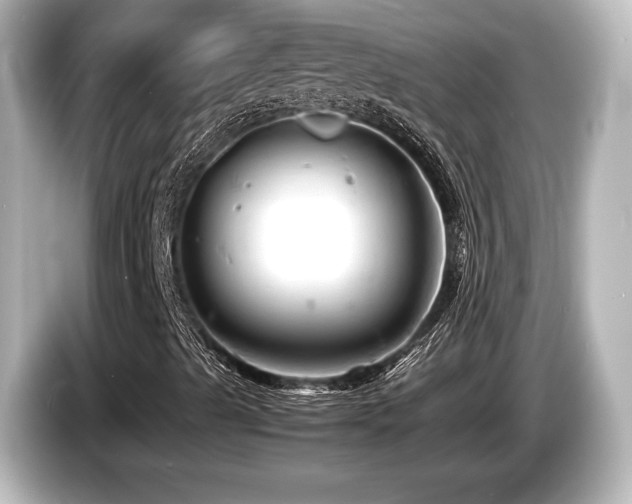 X0000085751489200703161042