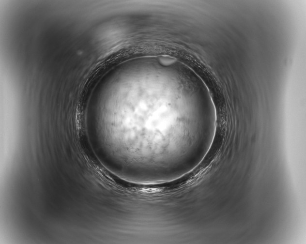 X0000085751490200703161042