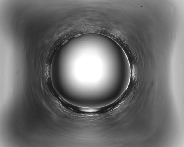X0000085751492200703161042