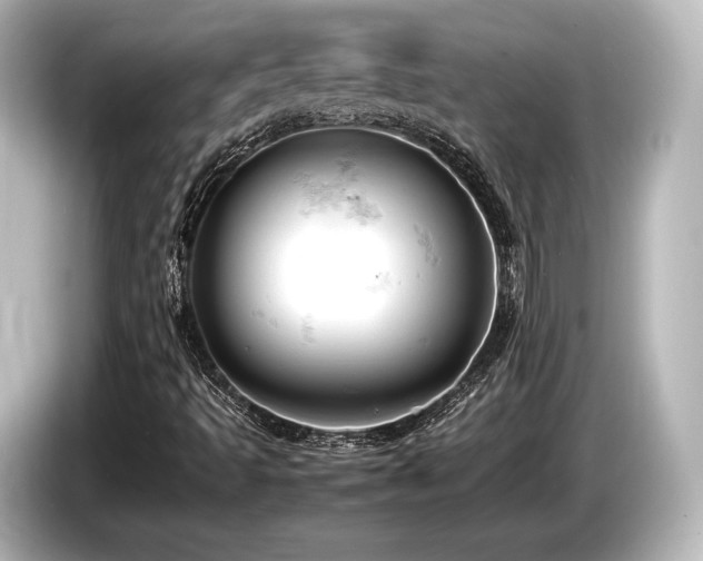 X0000085751493200703161042