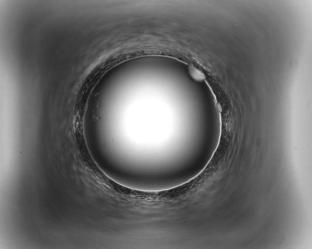 X0000085751495200703161042