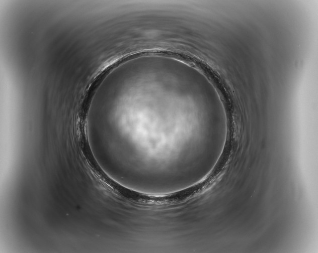 X0000085751497200703161042