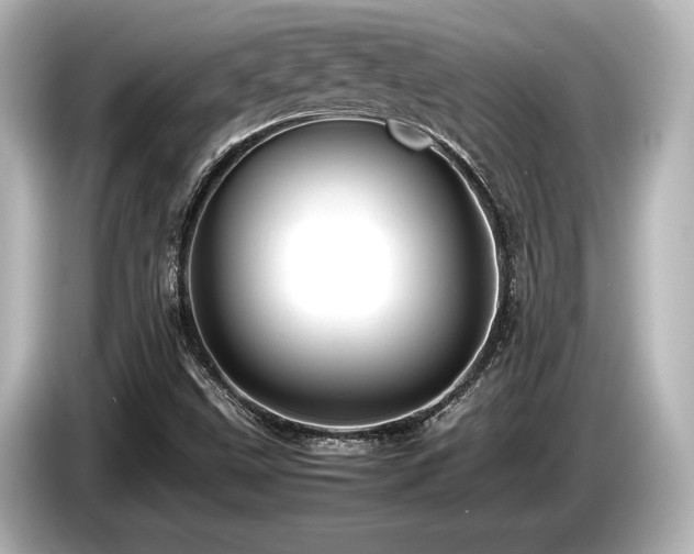 X0000085751499200703161042
