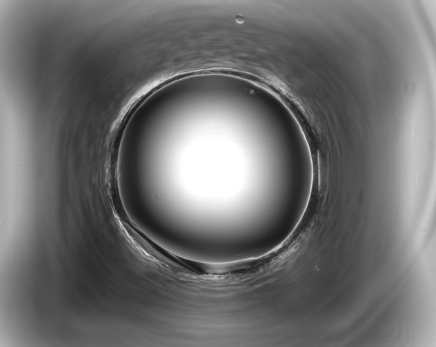 X0000085751500200703161042
