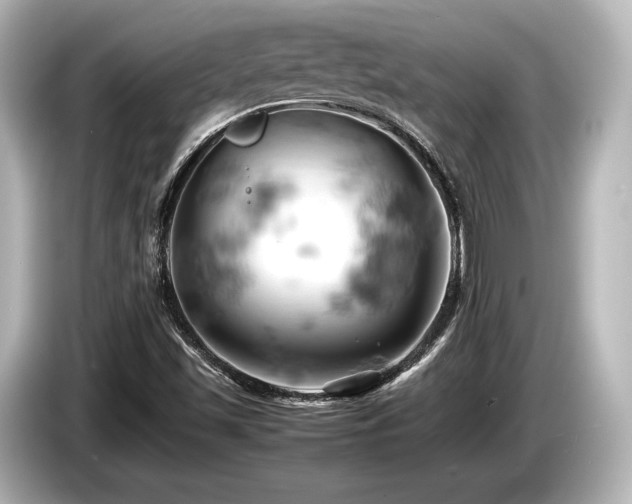X0000085751501200703161042