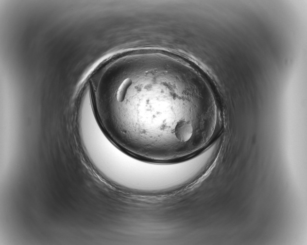 X0000085751502200703161042