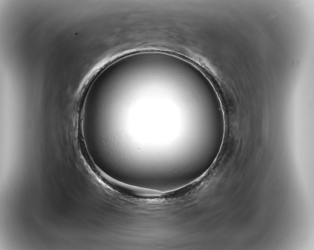 X0000085751504200703161042