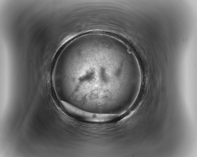 X0000085751505200703161042