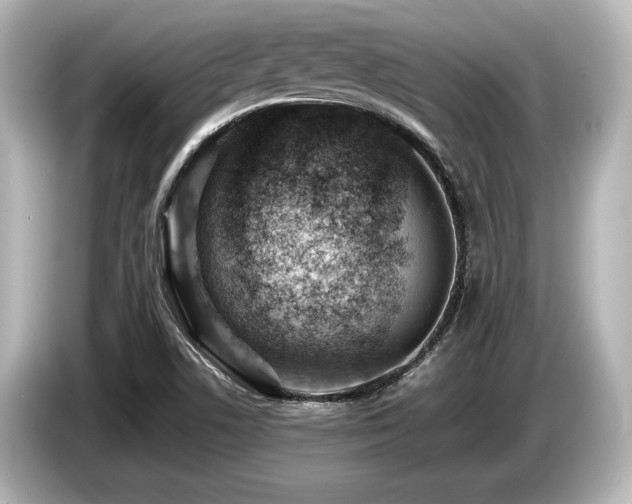 X0000085751506200703161042