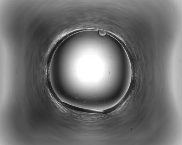X0000085751507200703161042