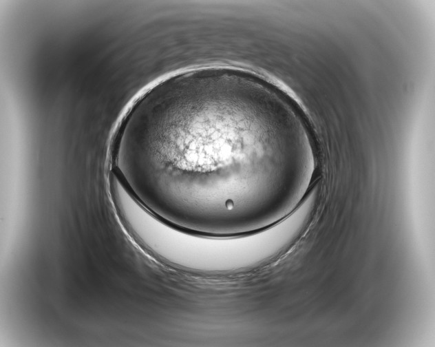 X0000085751508200703161042
