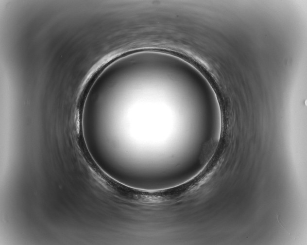 X0000085751509200703161042