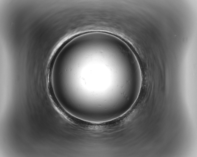 X0000085751511200703161042