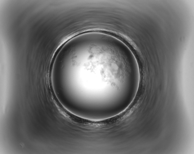 X0000085751513200703161042