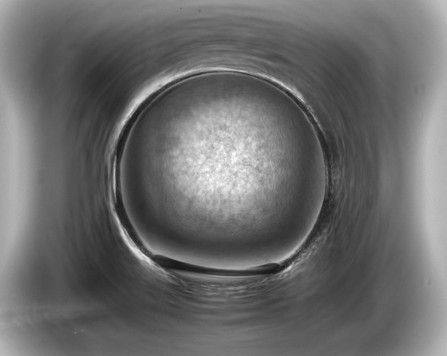 X0000085751515200703161042