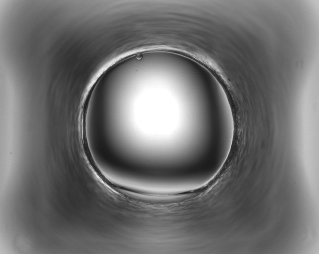 X0000085751516200703161042