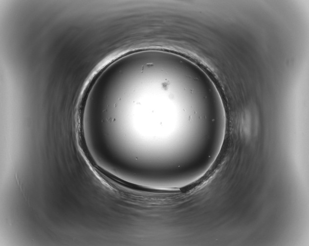 X0000085751517200703161042