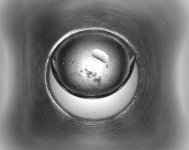 X0000085751518200703161042