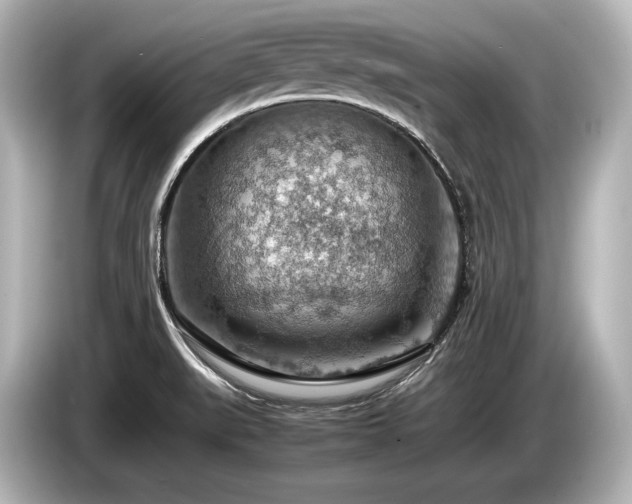 X0000085751519200703161042