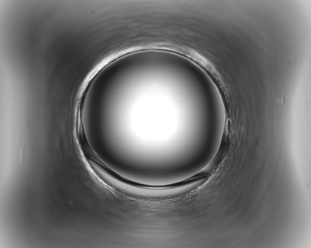 X0000085751520200703161043