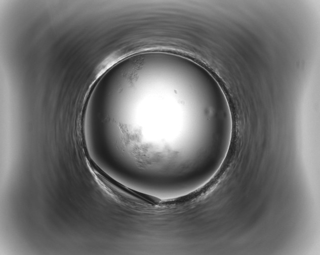 X0000085751521200703161043