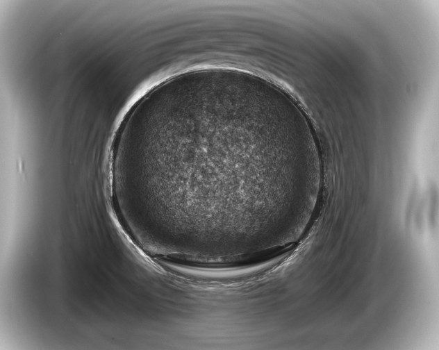 X0000085751522200703161043