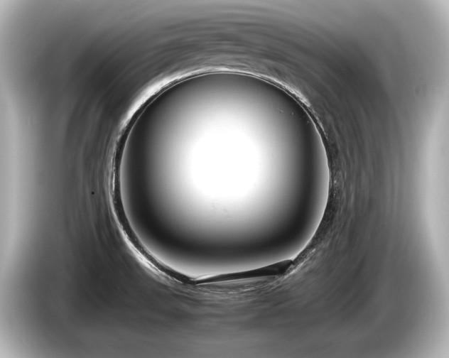 X0000085751523200703161043