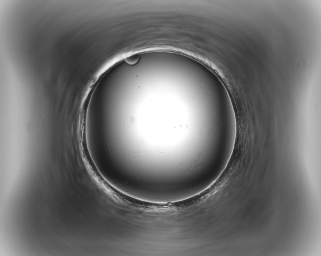 X0000085751526200703161043