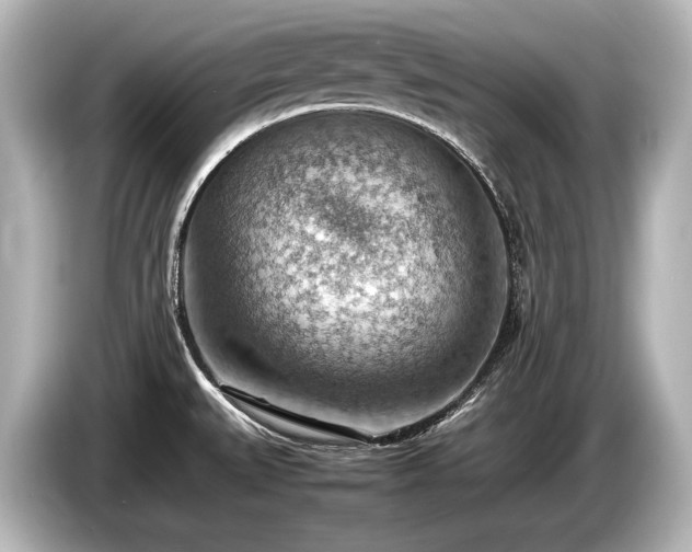 X0000085751527200703161043