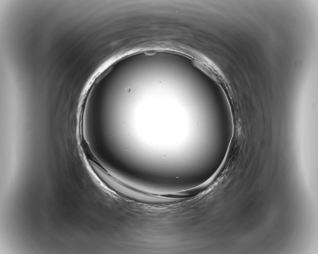 X0000085751528200703161043