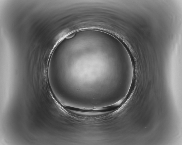 X0000085751529200703161043