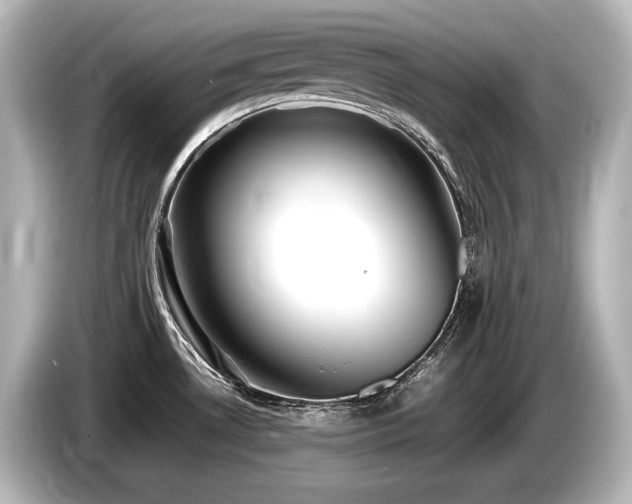 X0000085751530200703161043