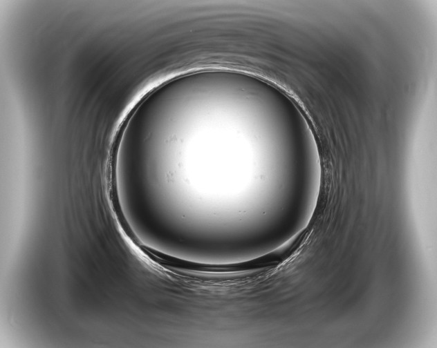 X0000085751531200703161043