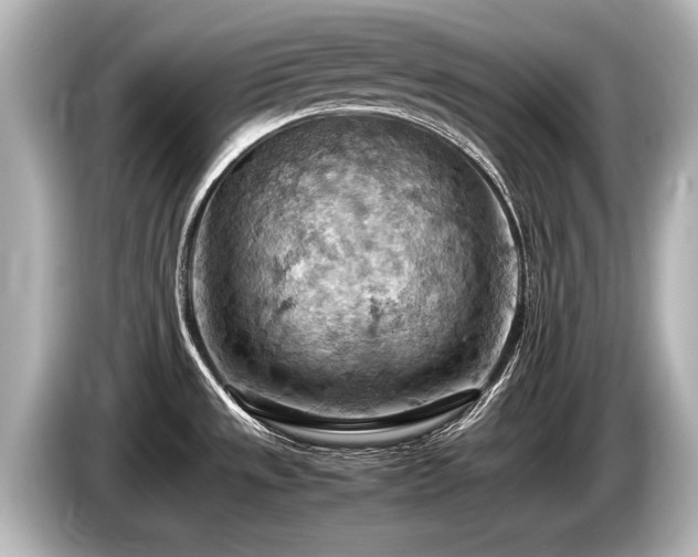 X0000085751533200703161043