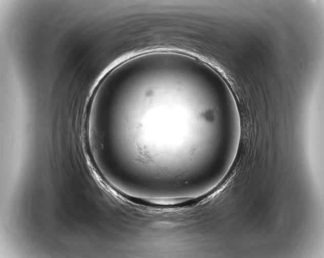 X0000085751534200703161043